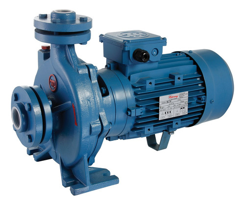 BOMBA CENTRIFUGA BRIDADA MOTORARG MODELO BCM 335N - 3,5 HP - ELEVA 46 MTS - 380V