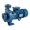 BOMBA CENTRIFUGA BRIDADA MOTORARG MODELO BCM 355N - 5,5 HP - ELEVA 54 MTS - 380V