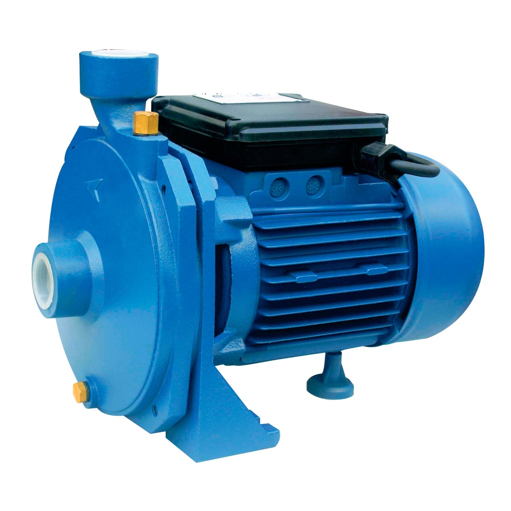[110300] BOMBA CENTRIFUGA FLUVIAL MODELO FE 1000 - 1 HP - ELEVA 30 MTS - 220V