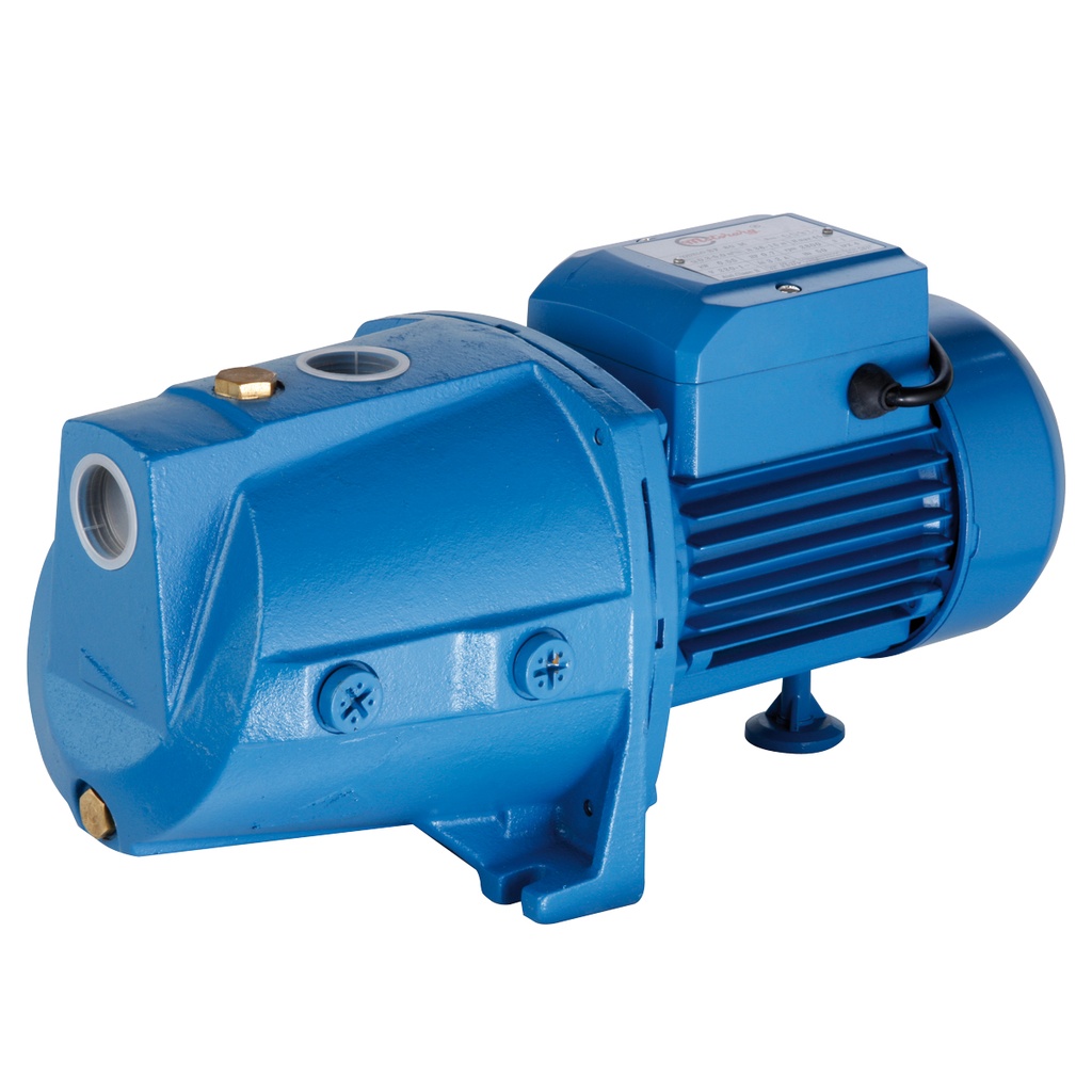 [B.BJ.1.0010.M] BOMBA AUTOASPIRANTE MOTORARG MODELO BF 100 - 1 HP - ELEVA 38 MTS - 220V